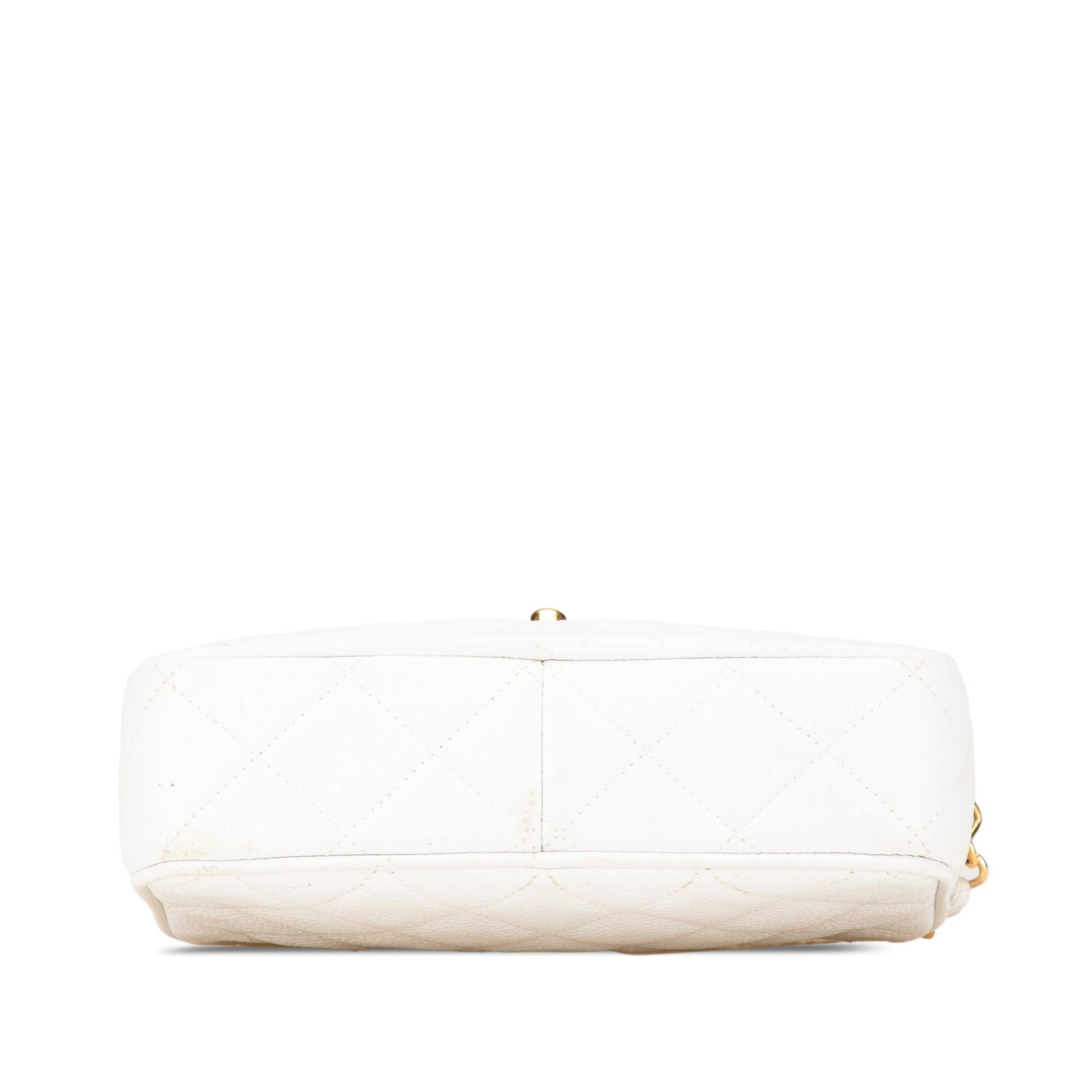 Chanel Camera Camera Bag - Rovelle Bags