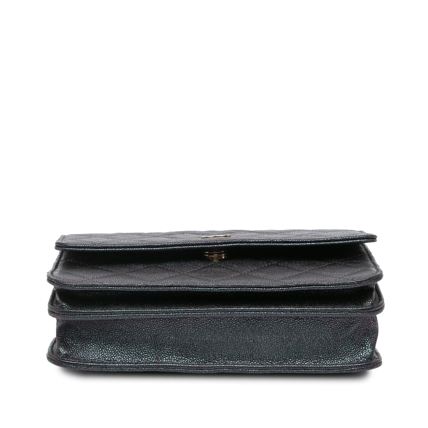 Chanel Wallet On Chain WOC Bag - Rovelle Bags