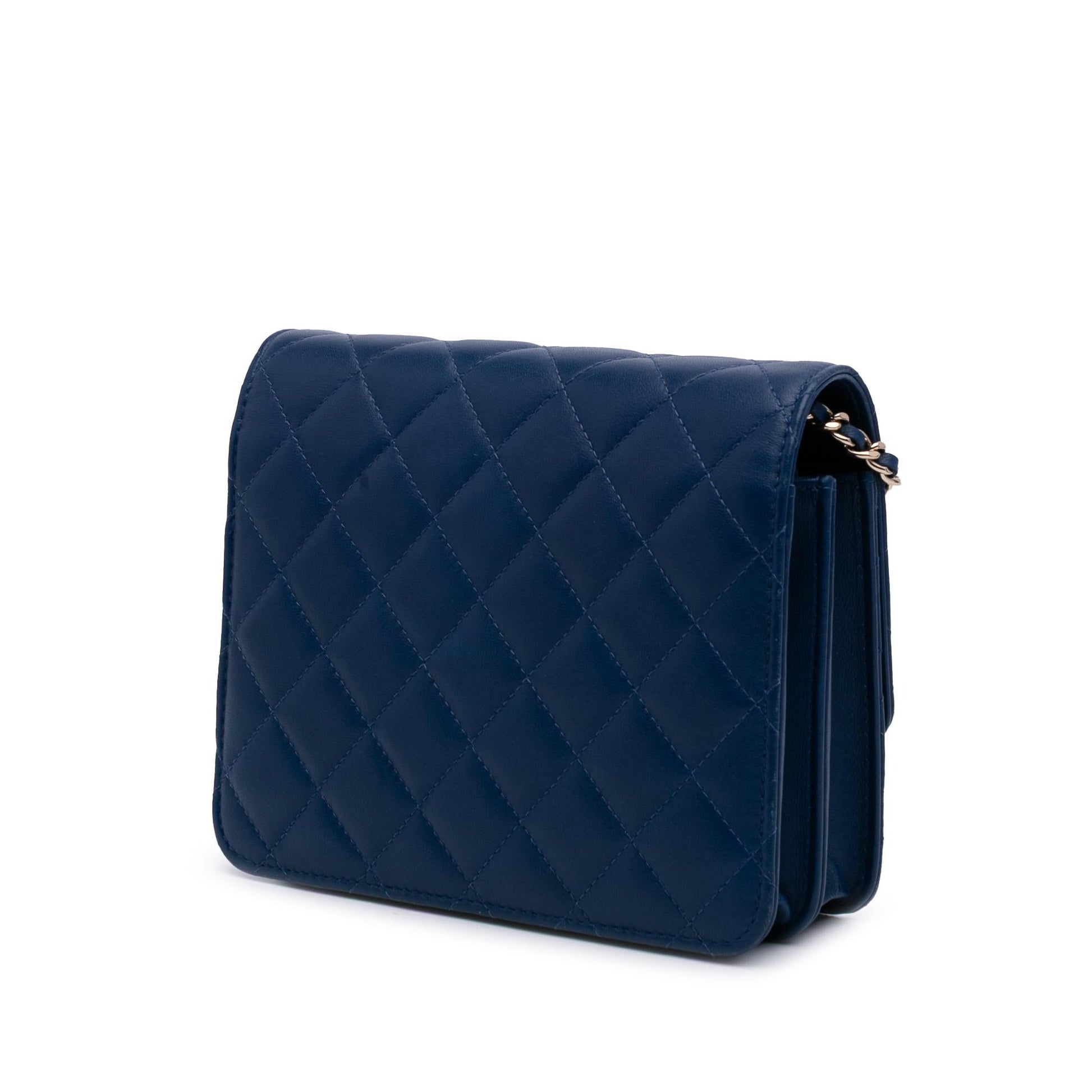 Chanel Gabrielle Crossbody - Rovelle Bags