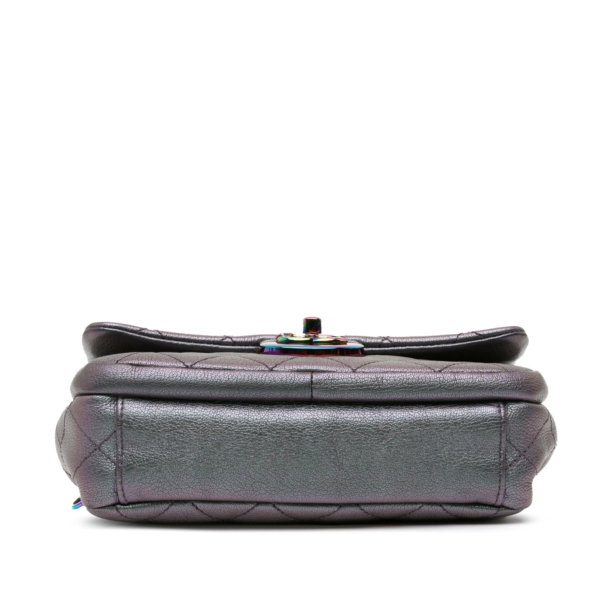Chanel Iridescent Goatskin Double Shoulder Bag - Rovelle Bags