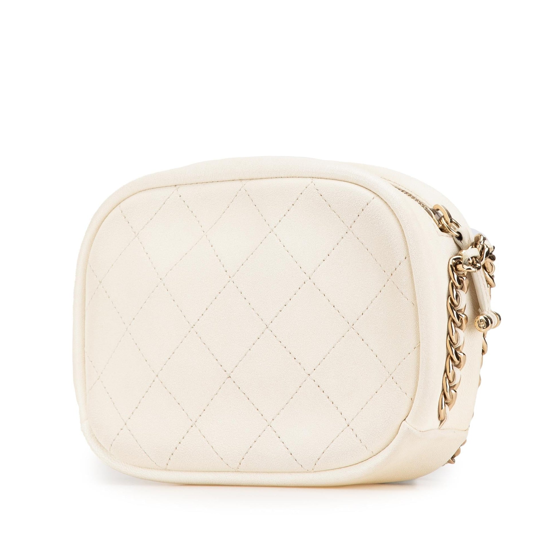 Chanel Camera Camera Bag - Rovelle Bags