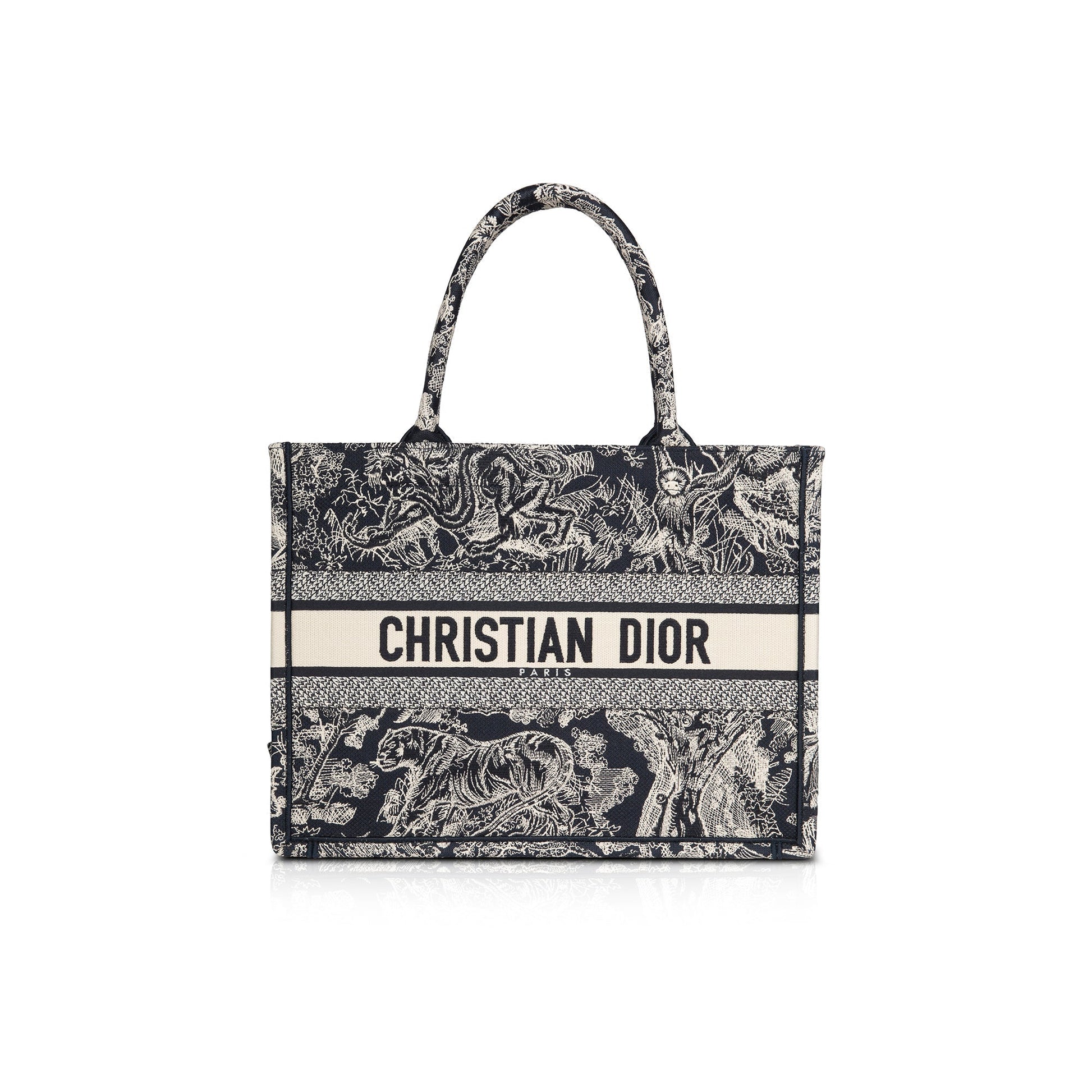 Christian Dior 2022 Medium Toile de Jouy Reverse Book Tote