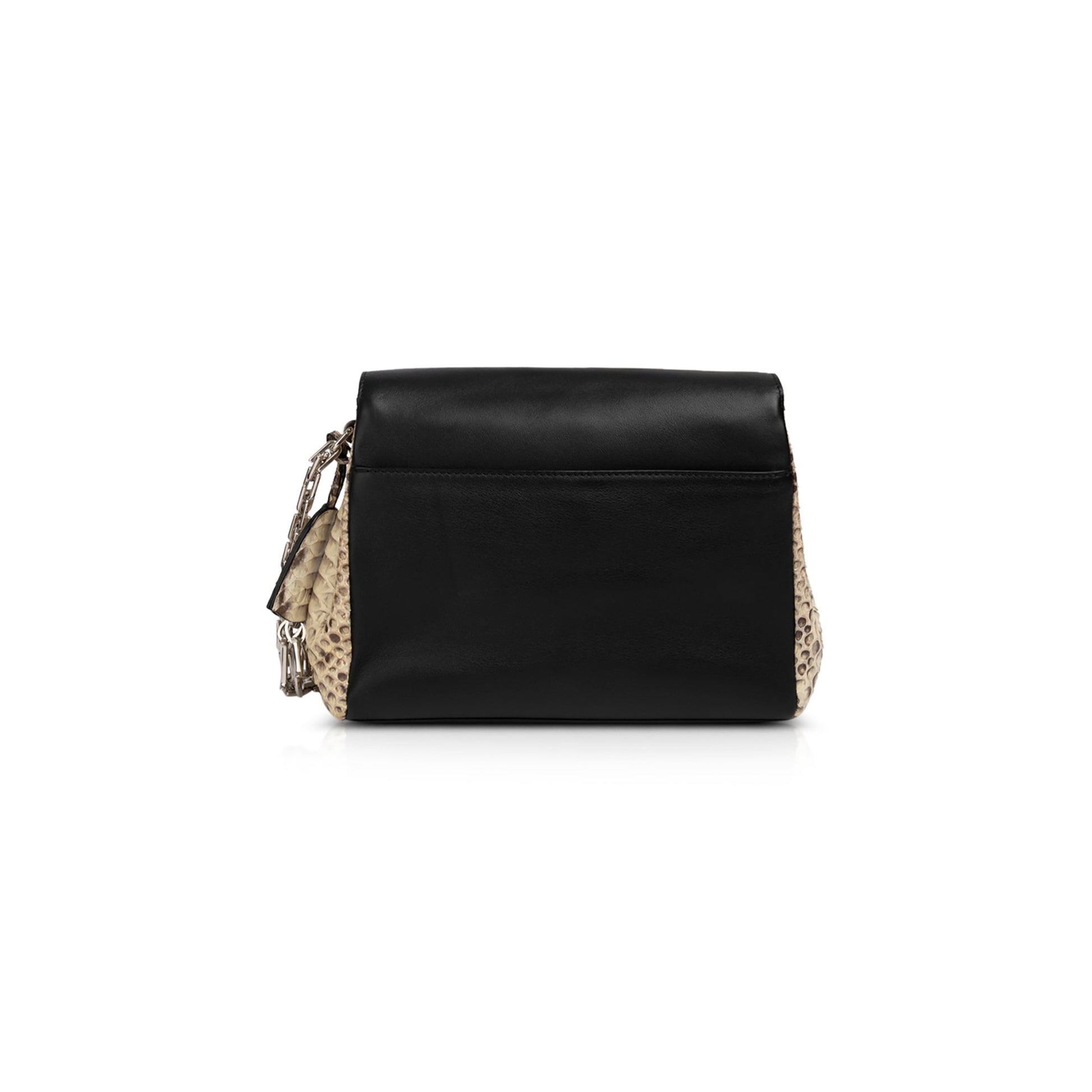 Christian Dior Python-Trimmed Diorling Bag