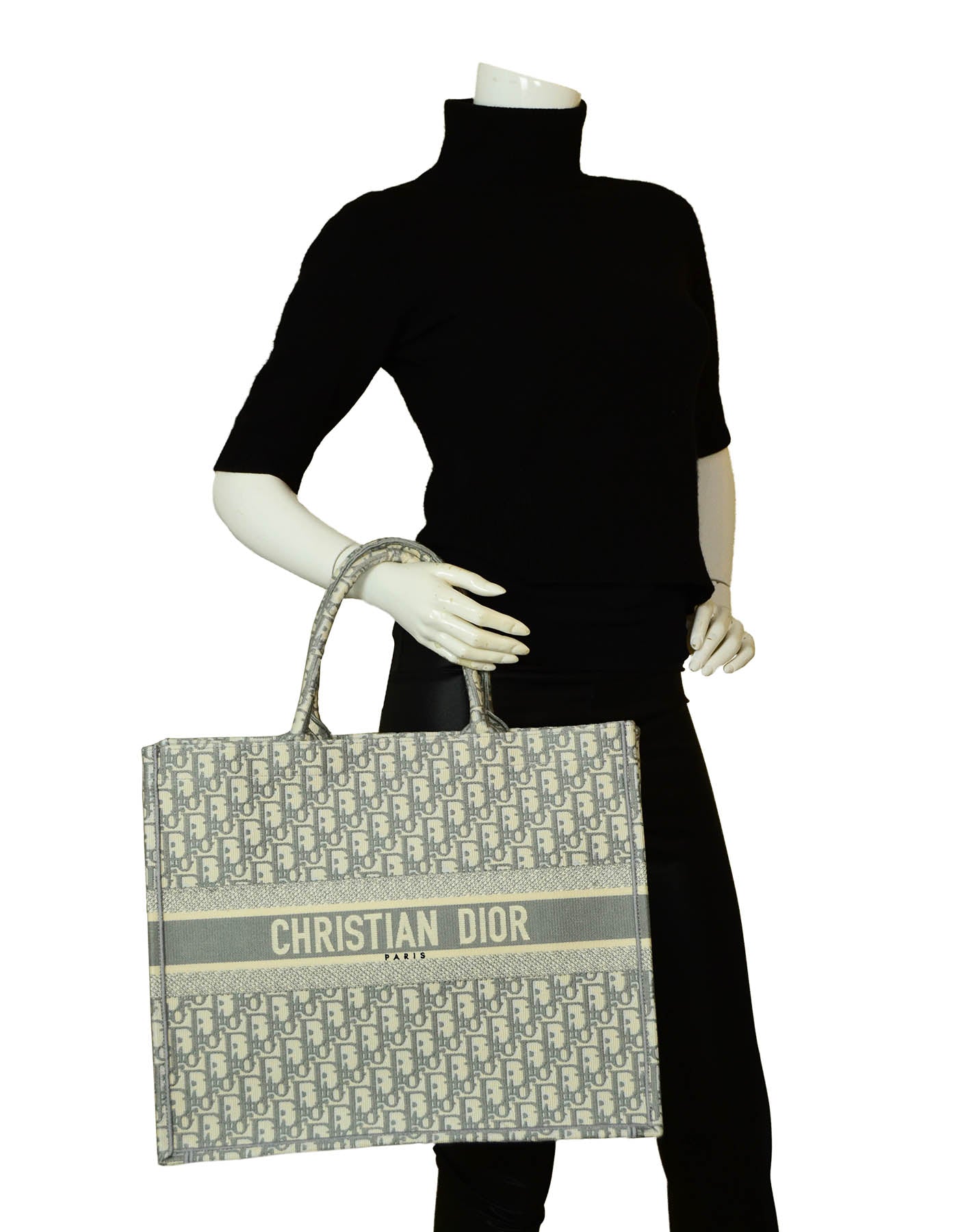 Dior Book Tote Tote - Rovelle Bags