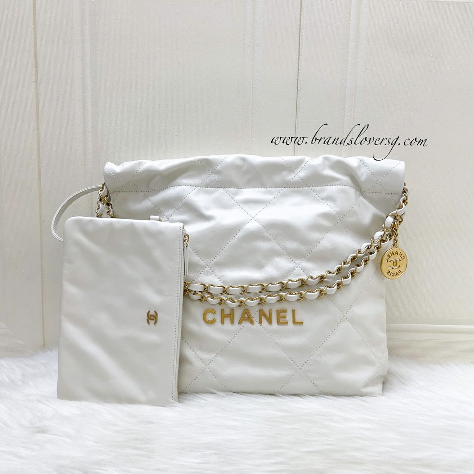 Chanel 22 Small Hobo Hobo Bag - Rovelle Bags