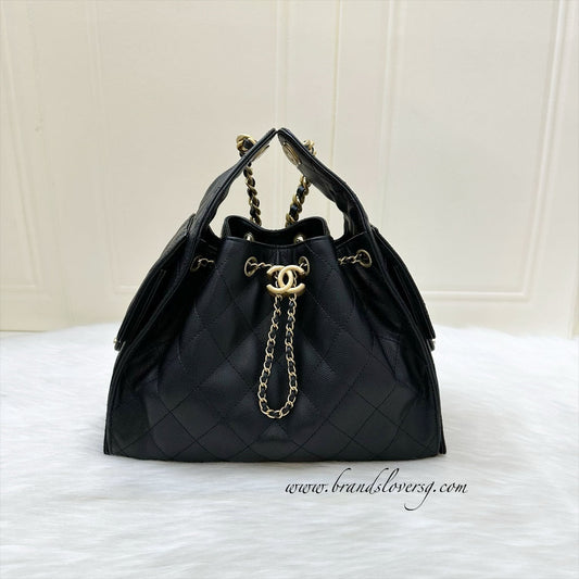 Chanel 25 Small Hobo Hobo Bag - Rovelle Bags