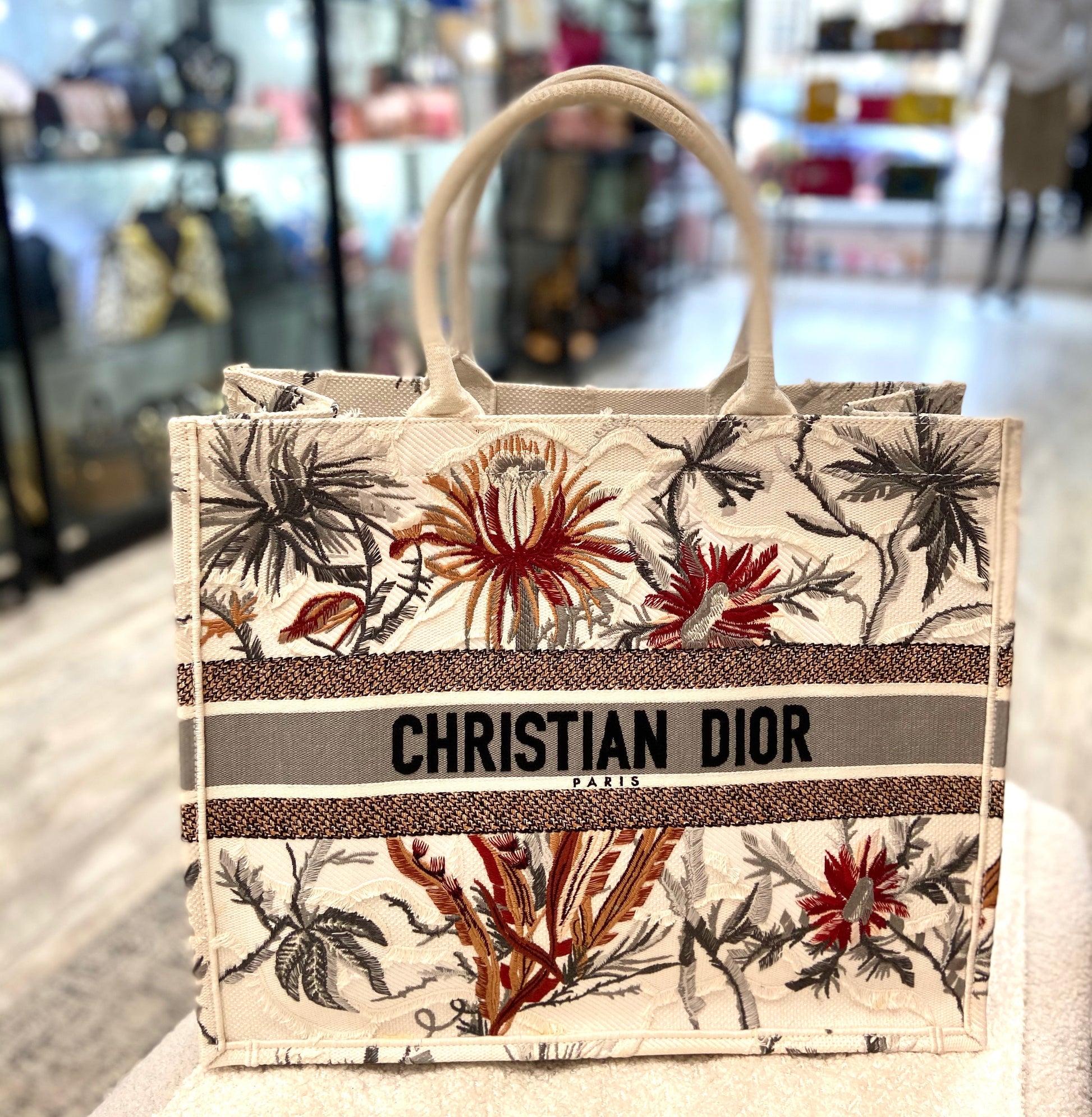 DIOR TOILE DE JOUY TROPICALLA EMBROIDERED LARGE BOOK TOTE BAG