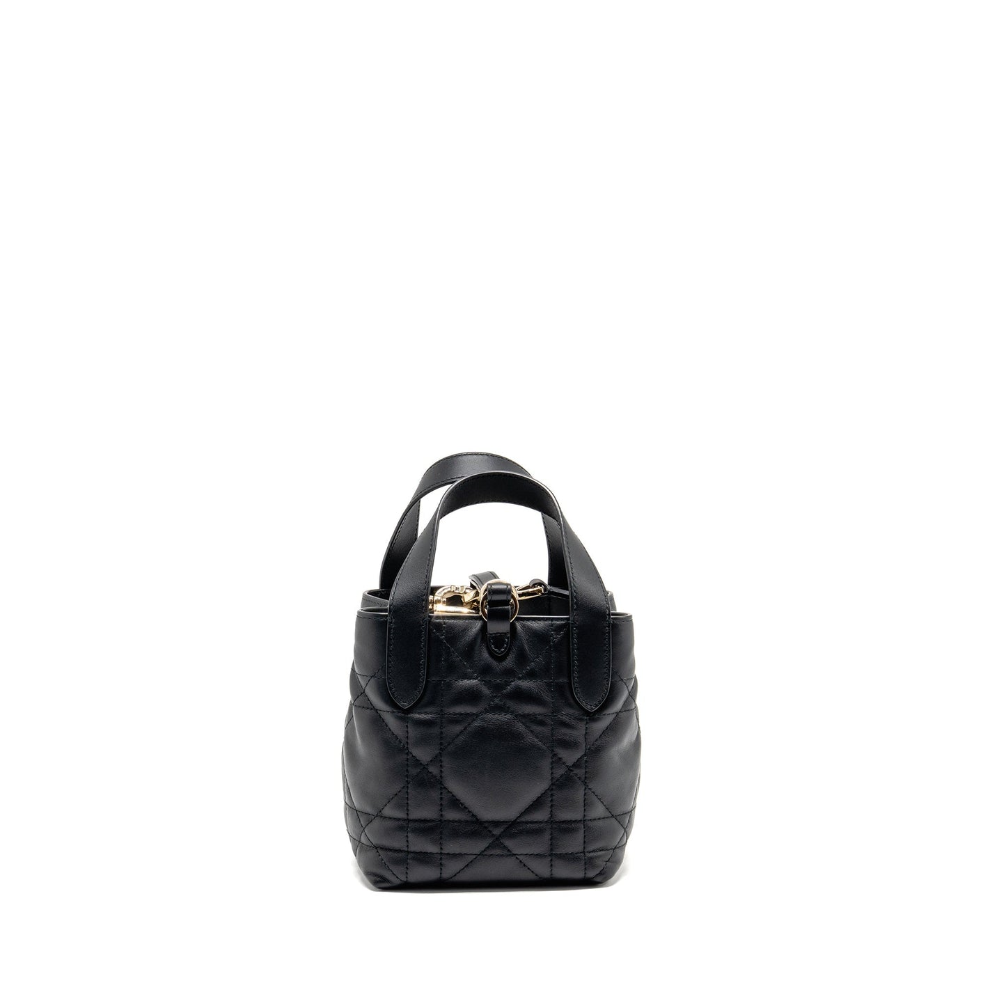 Dior Toujours Vertical Nano Tote Purse calfskin black