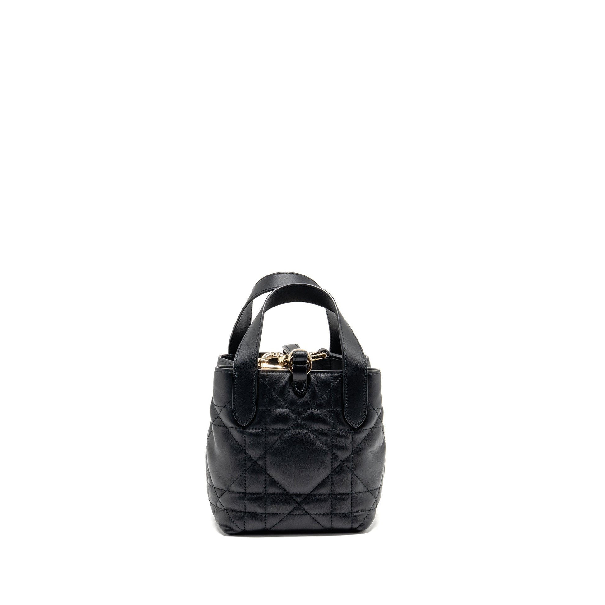 Dior Toujours Vertical Nano Tote Purse calfskin black