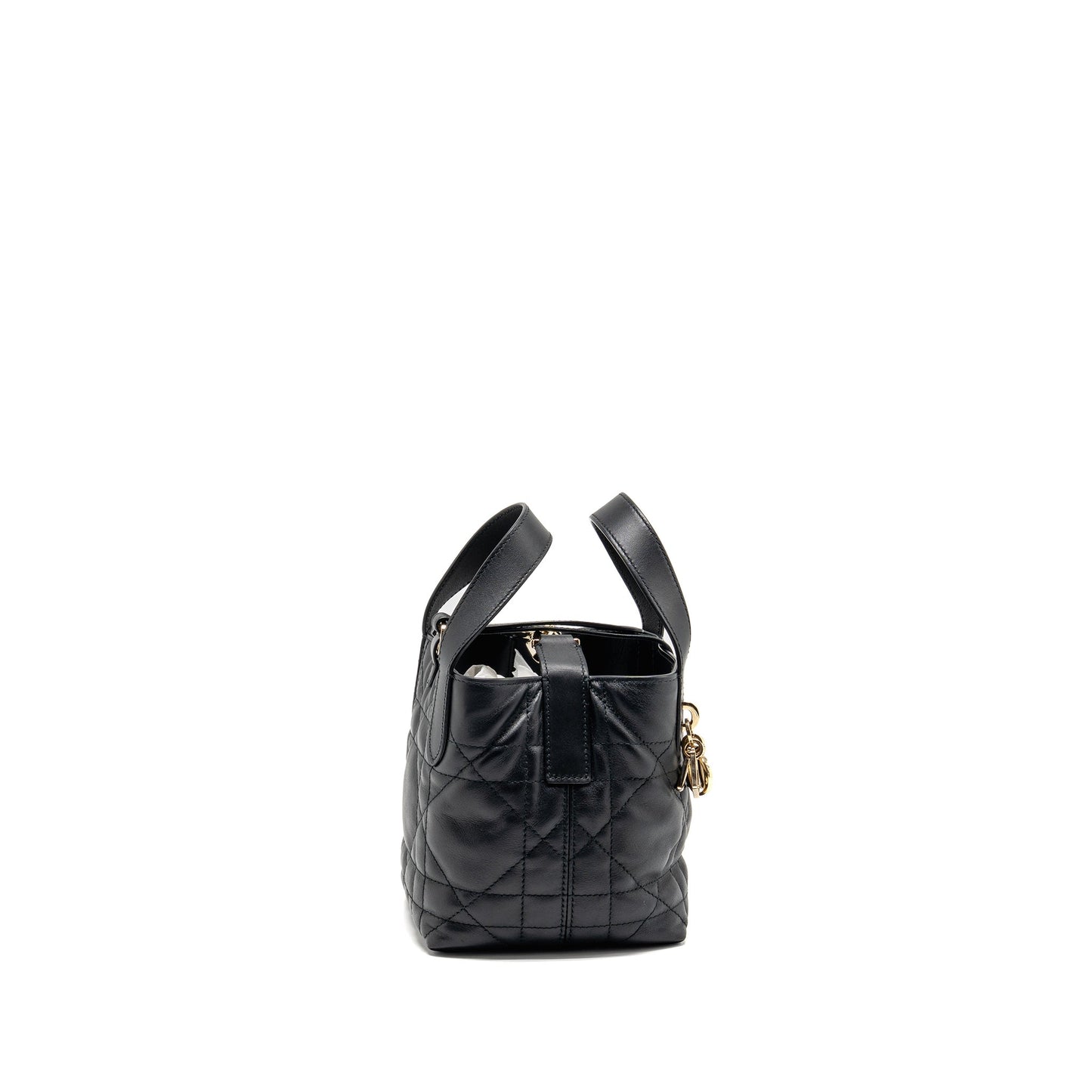 Dior Toujours Vertical Nano Tote Purse calfskin black