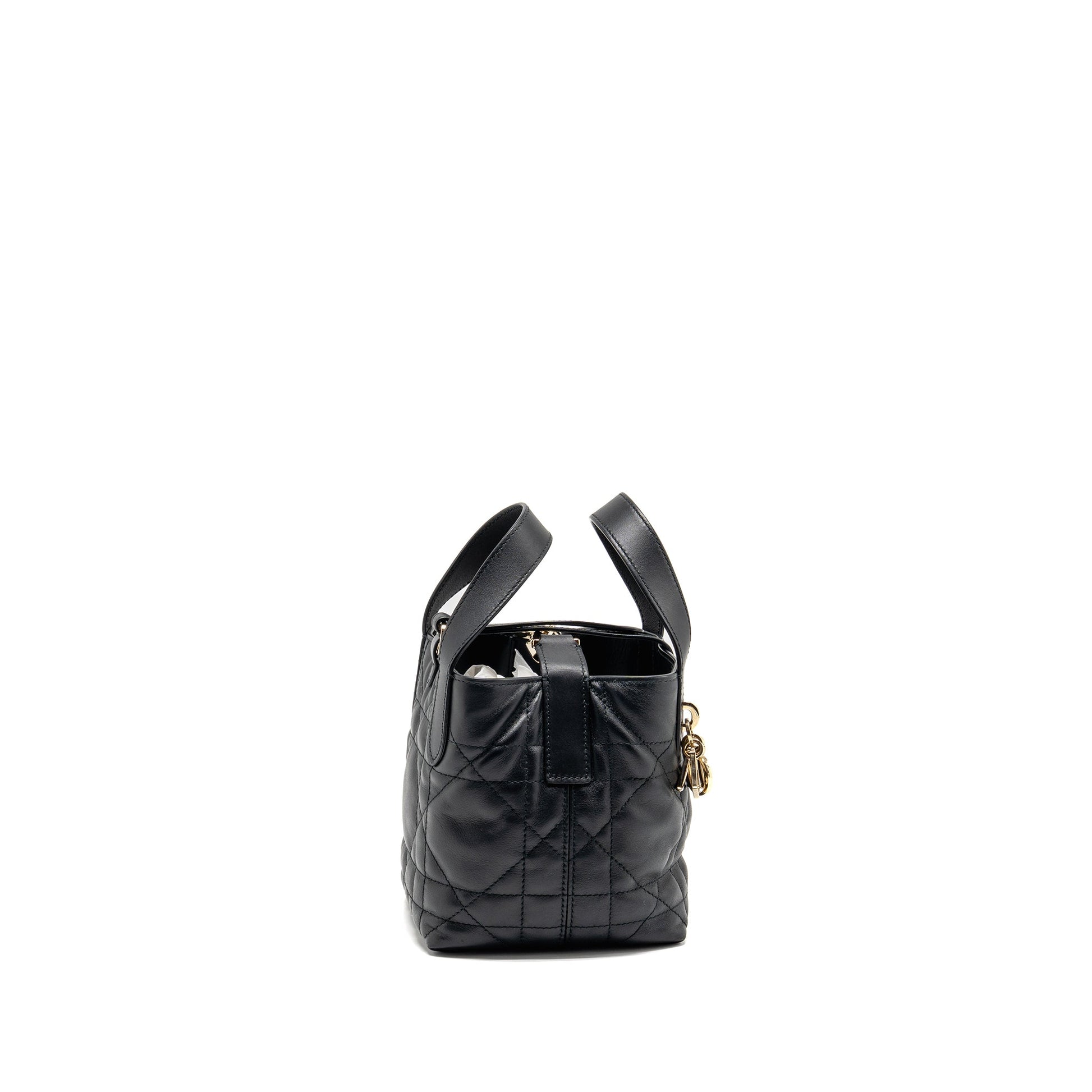 Dior Toujours Vertical Nano Tote Purse calfskin black