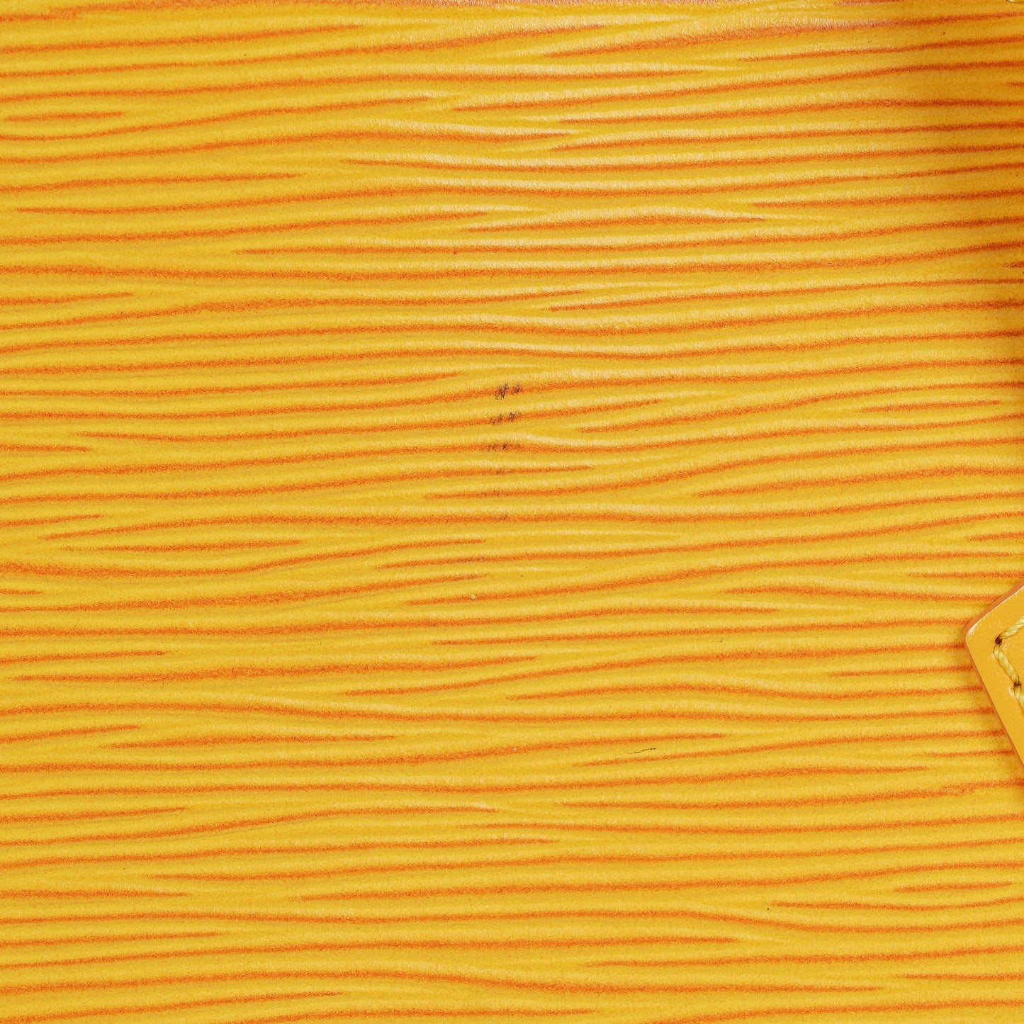 Louis Vuitton Saint Jacques GM Yellow EPI Castillan