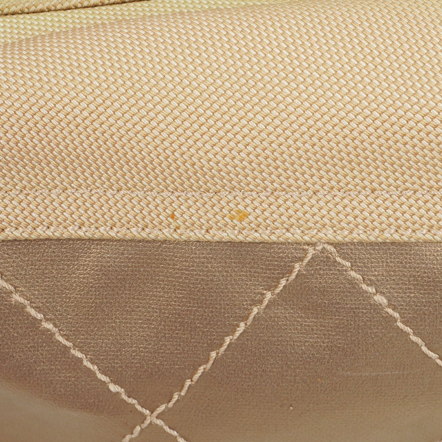 Chanel Paris-Biarritz Hobo Bag