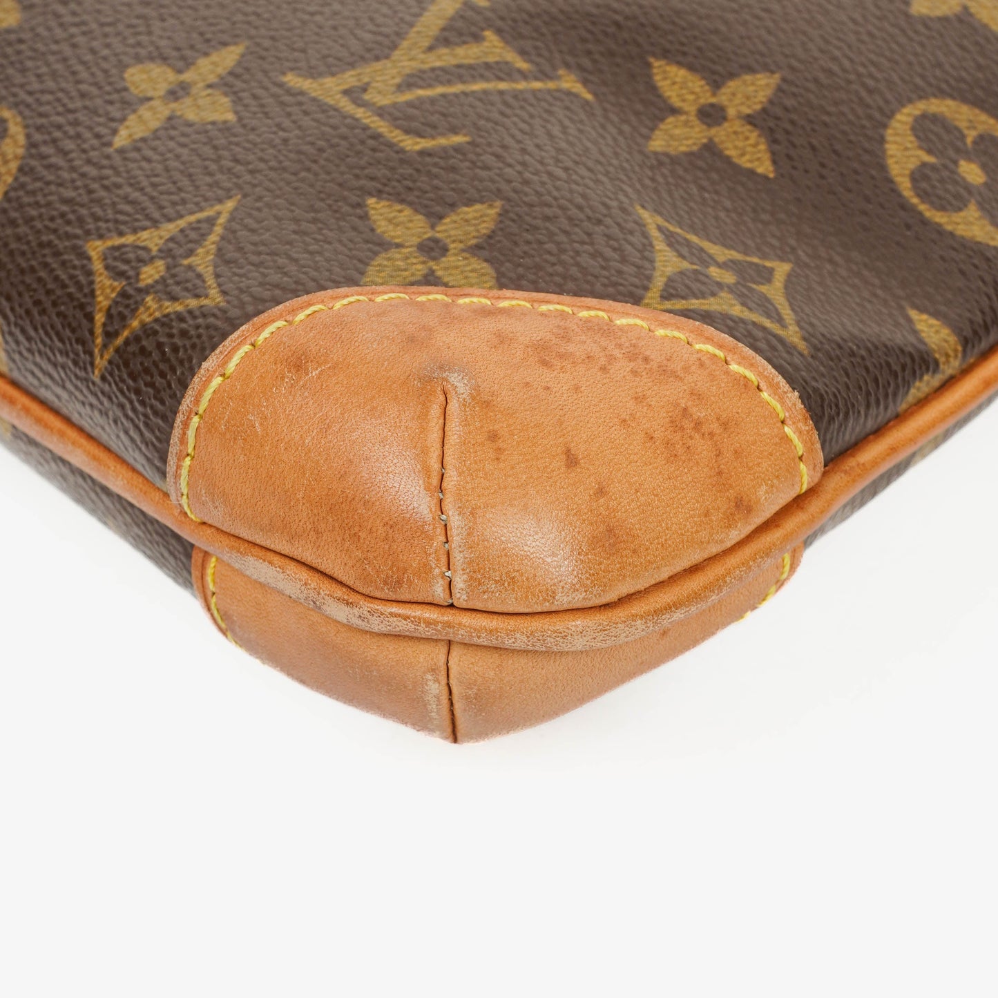 Louis Vuitton Monogram Canvas Coussin GM