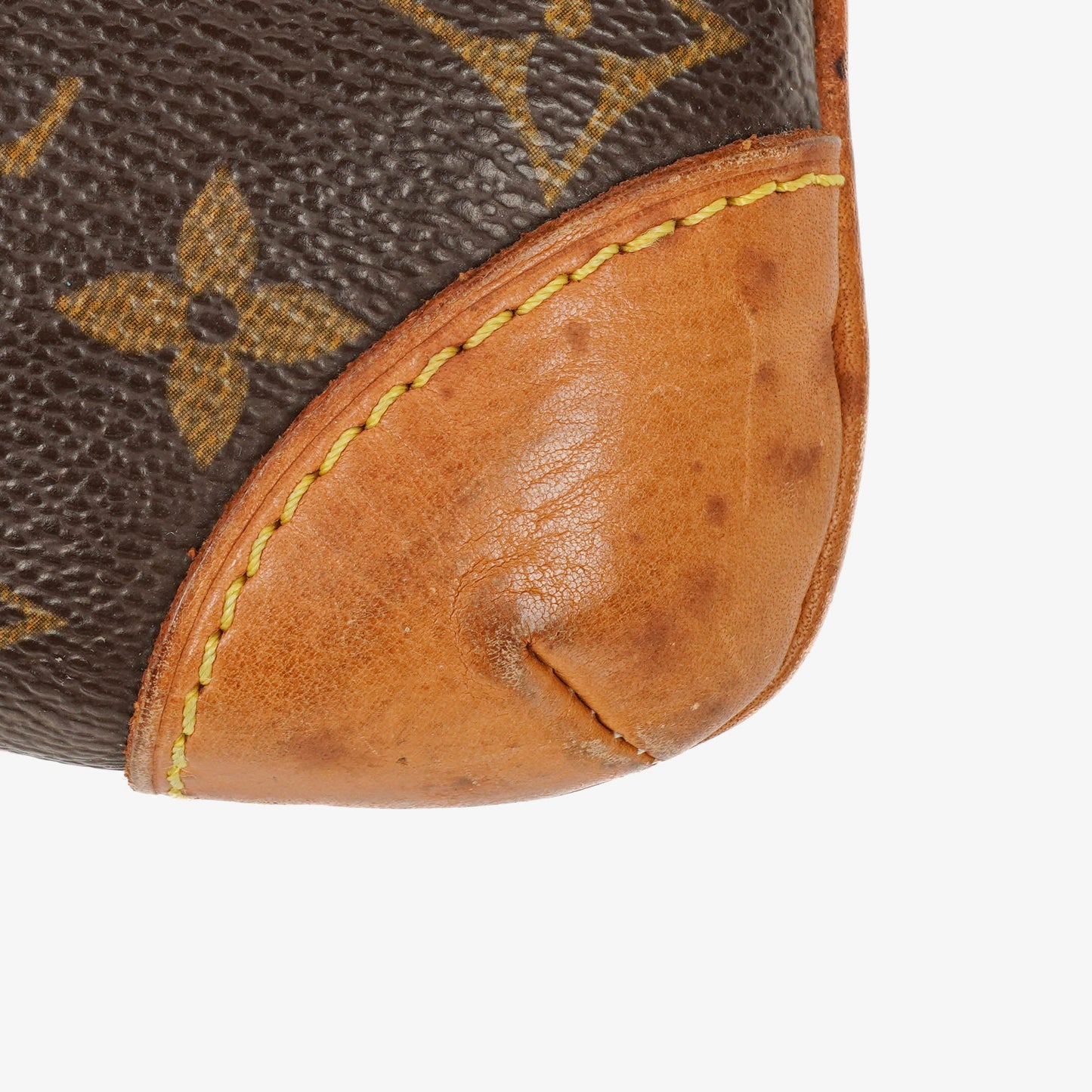 Louis Vuitton Monogram Canvas Coussin GM