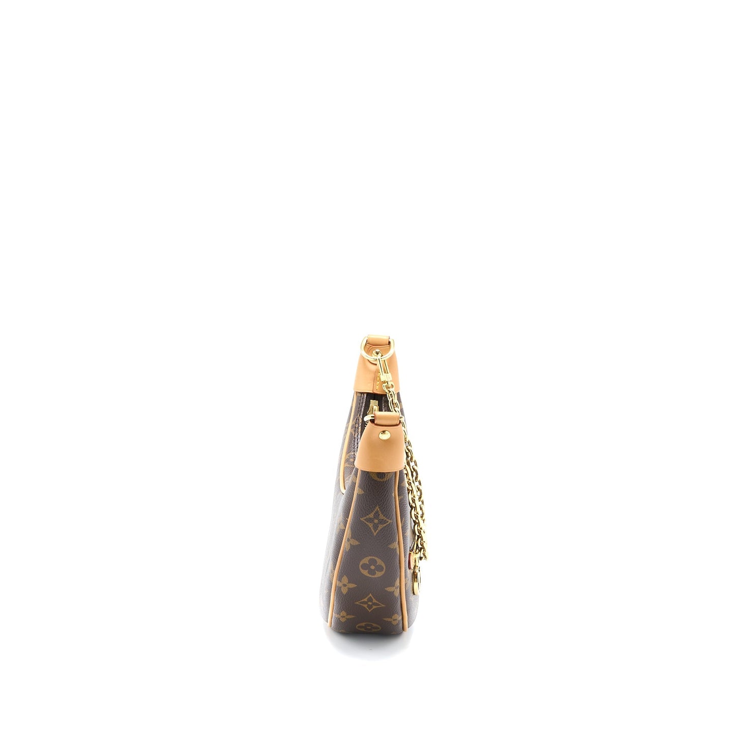Louis Vuitton Loop Bag Monogram Canvas GHW (New Version)