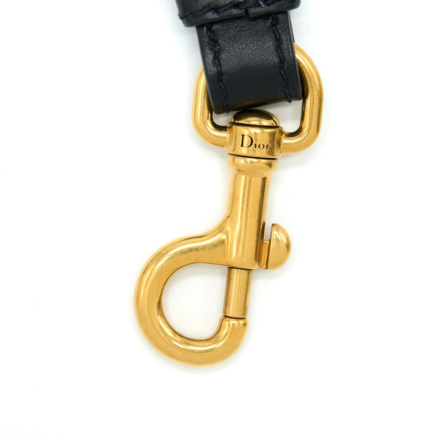 Dior Shoulder Strap Multicolour