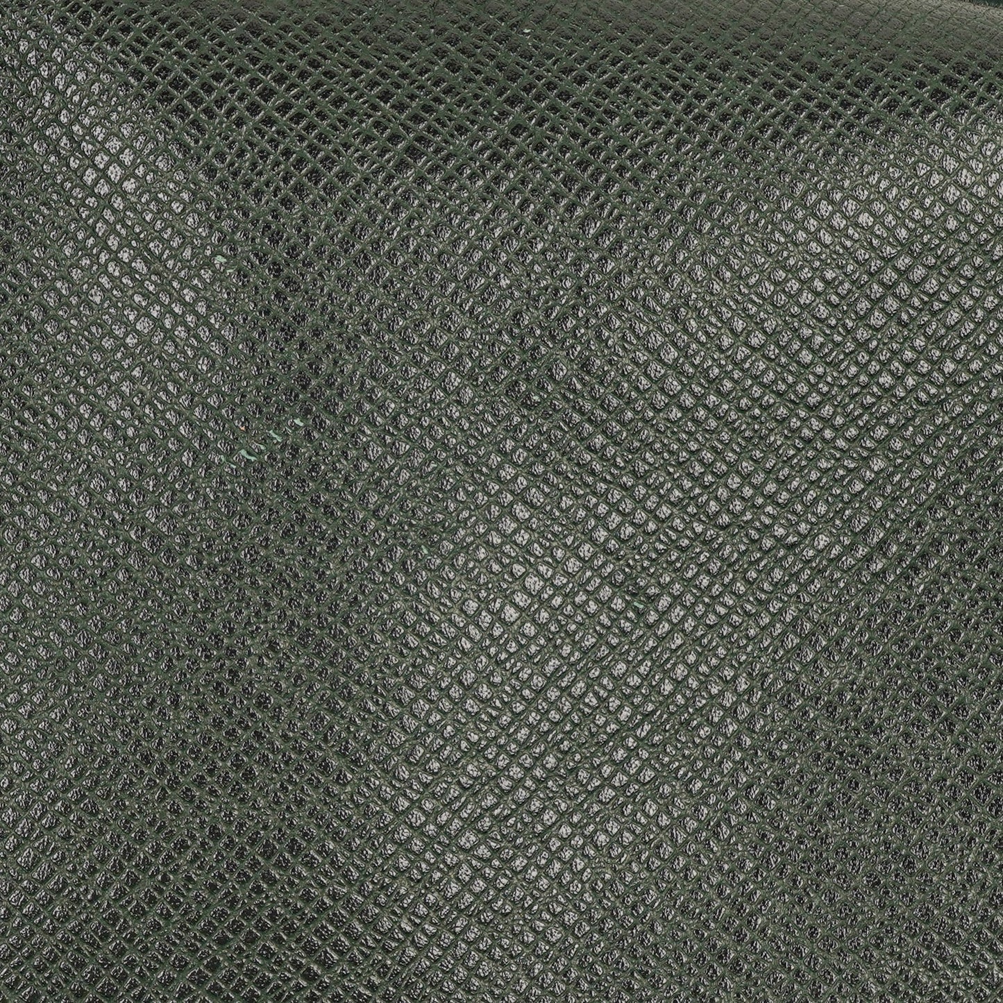 Louis Vuitton Kendall Epicea Green Taiga Leather Bag