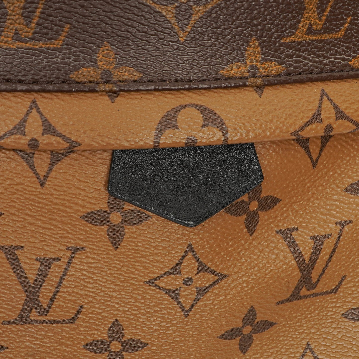 Louis Vuitton Reverse Monogram Canvas Palm Springs PM Backpack