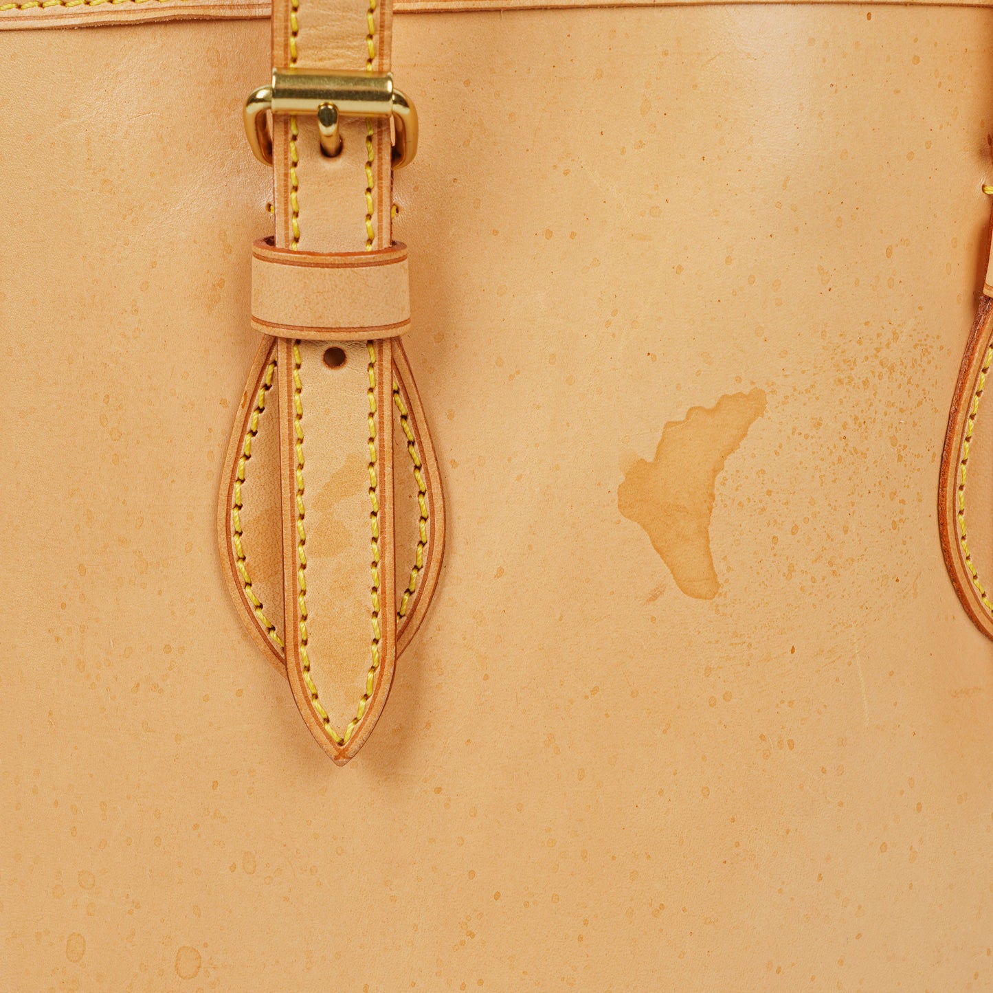 Louis Vuitton Neutral Vachetta Petit Bucket