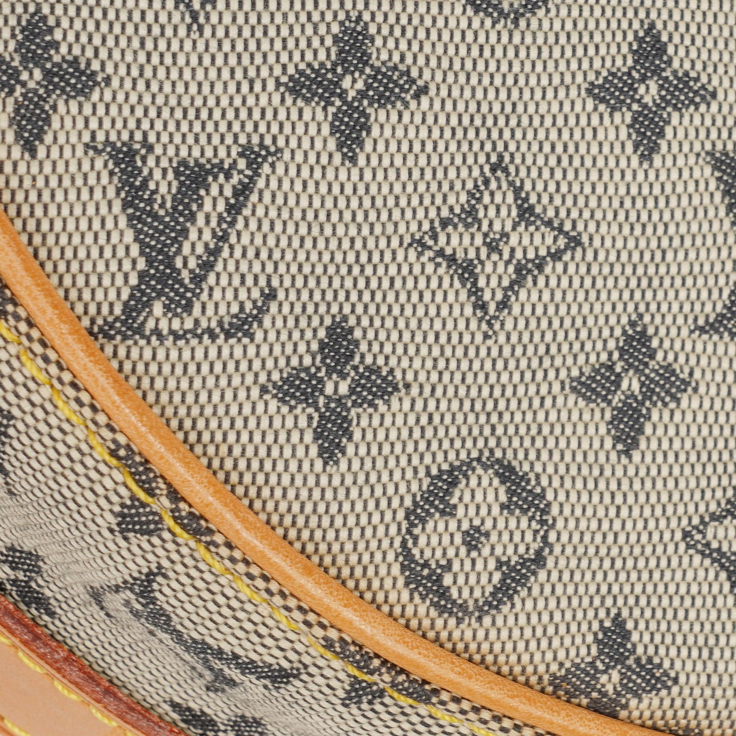 Louis Vuitton Mini Lin Jeanne GM Shoulder Bag