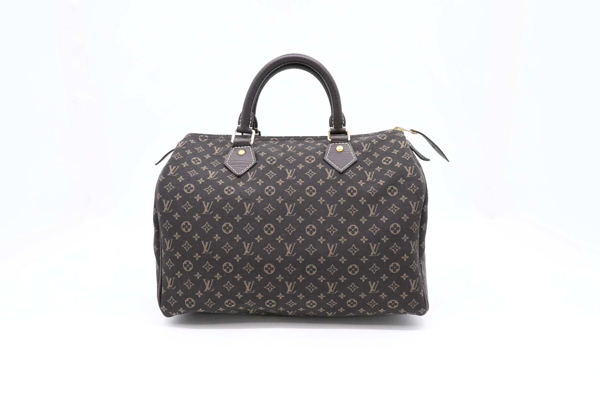 Louis Vuitton Speedy 30 in Fusain Minilin Canvas