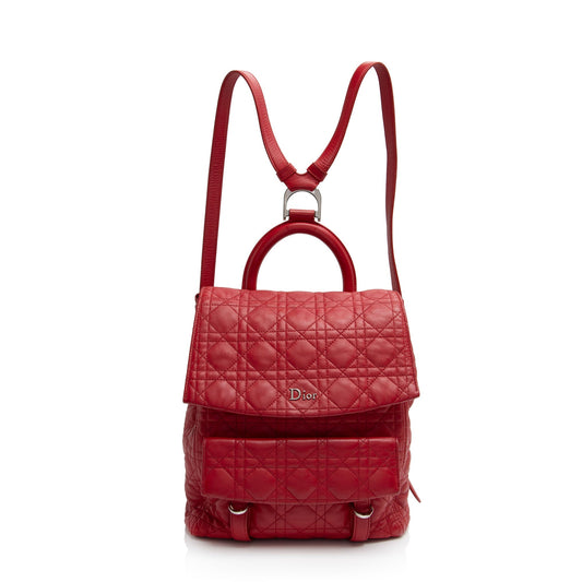 Dior Lambskin Stardust Large Backpack - FINAL (SHF-NgNkzh)