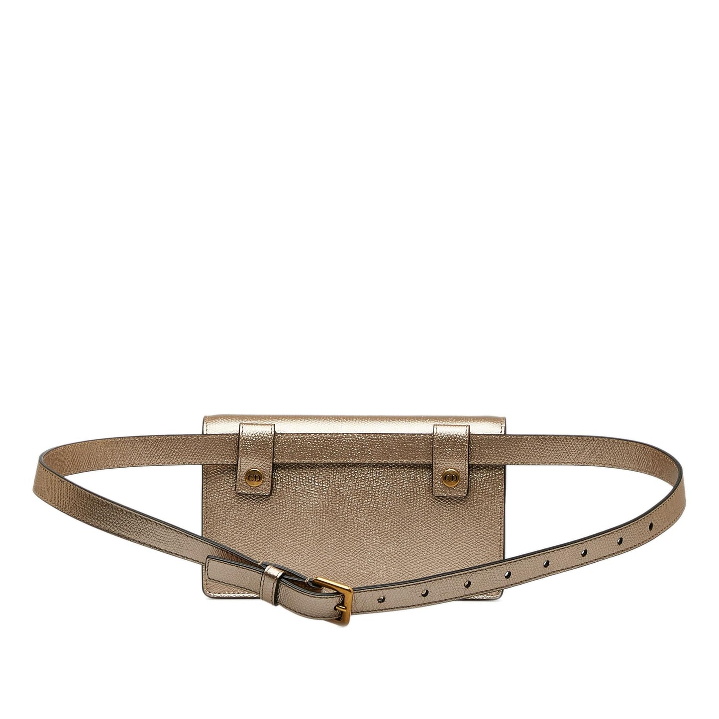 Dior Leather Saddle Belt Bag