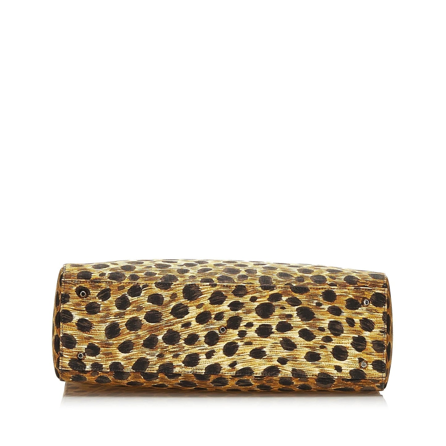 Saint Laurent Lady Dior Mini Canvas Handbag