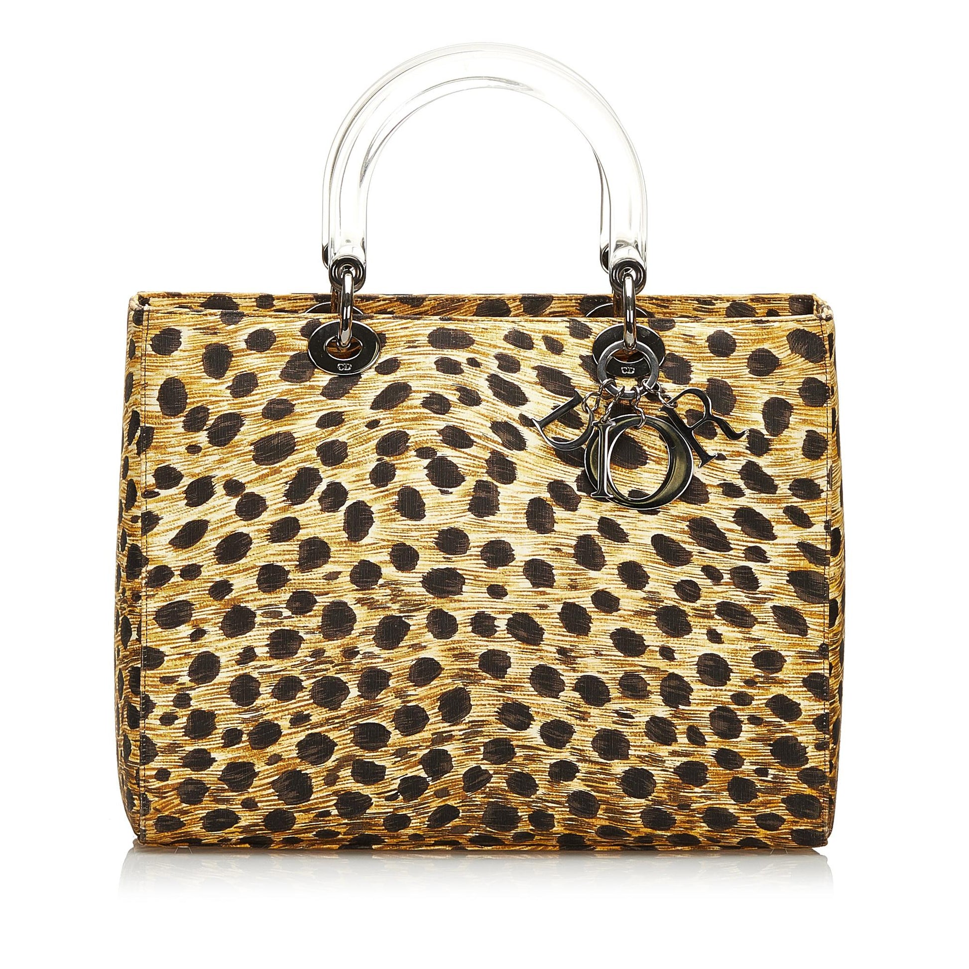 Saint Laurent Lady Dior Mini Canvas Handbag
