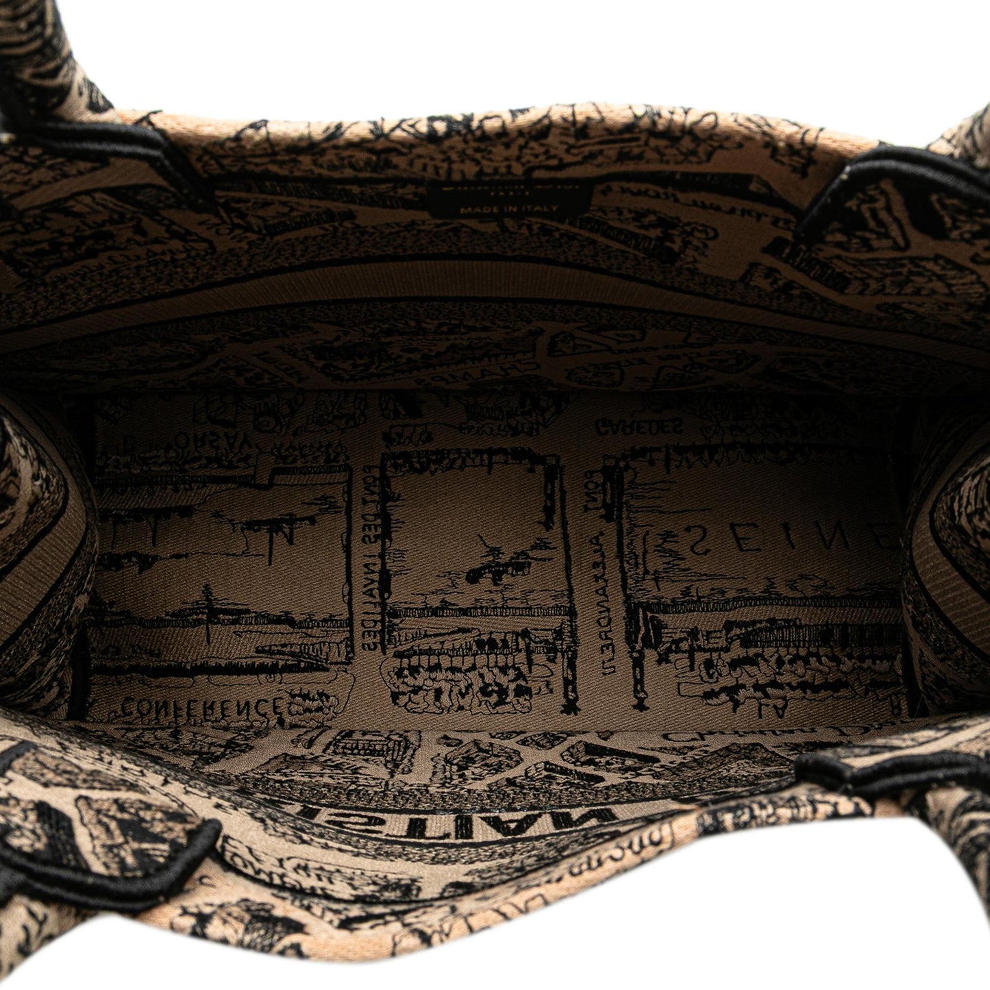 Dior Medium Embroidered Canvas Plan de Paris Book Tote