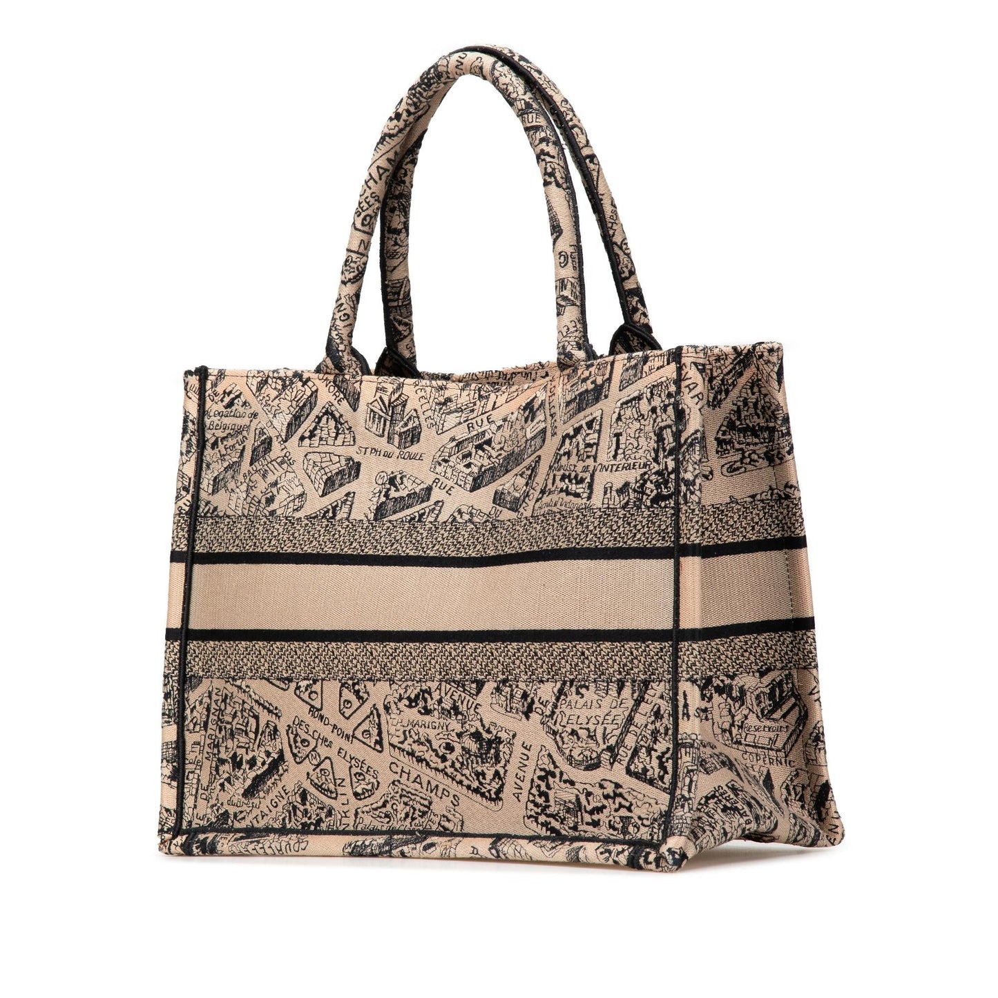 Dior Medium Embroidered Canvas Plan de Paris Book Tote