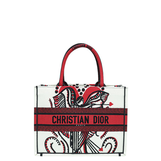 Dior Book Tote Tote - Rovelle Bags