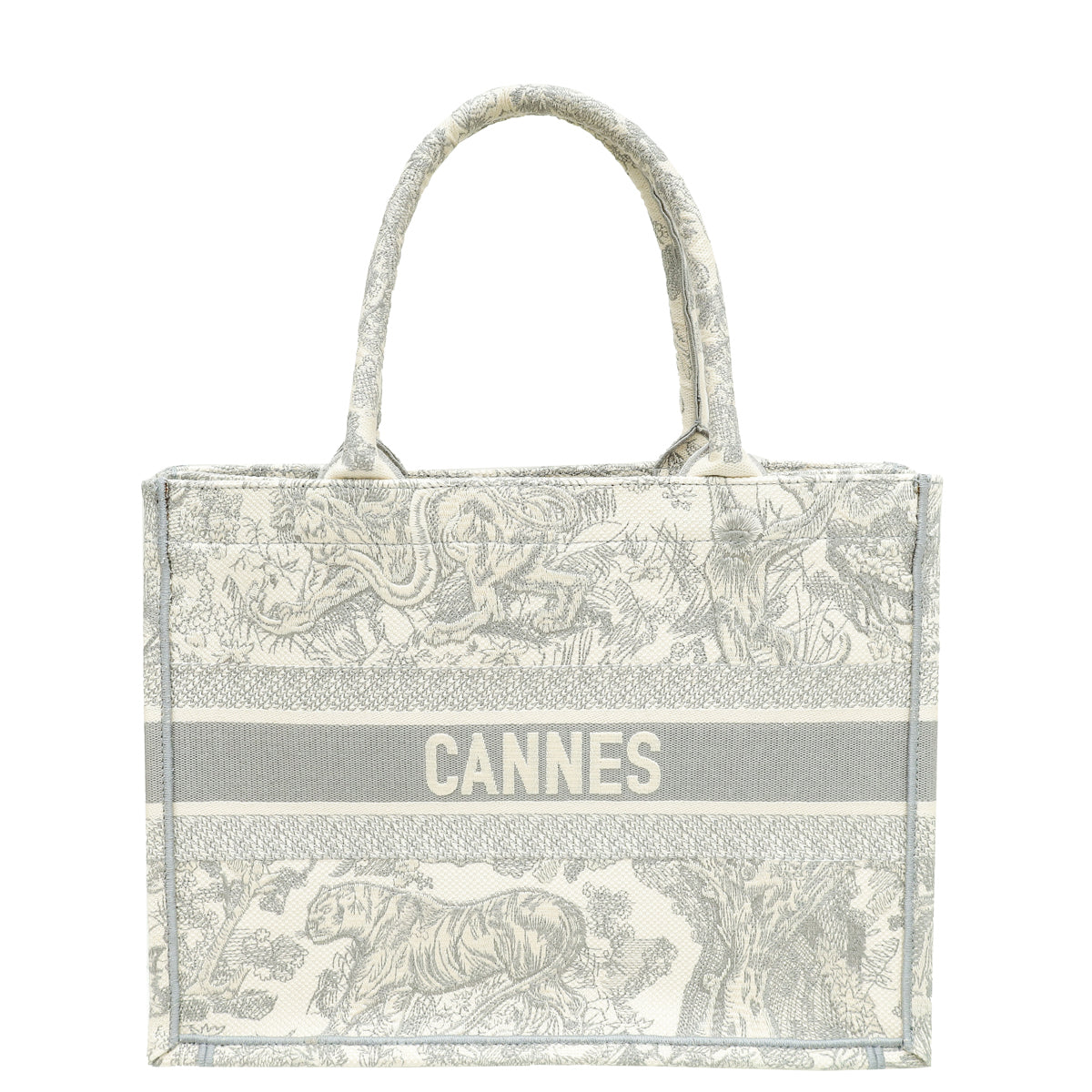 Dior Book Tote Tote - Rovelle Bags