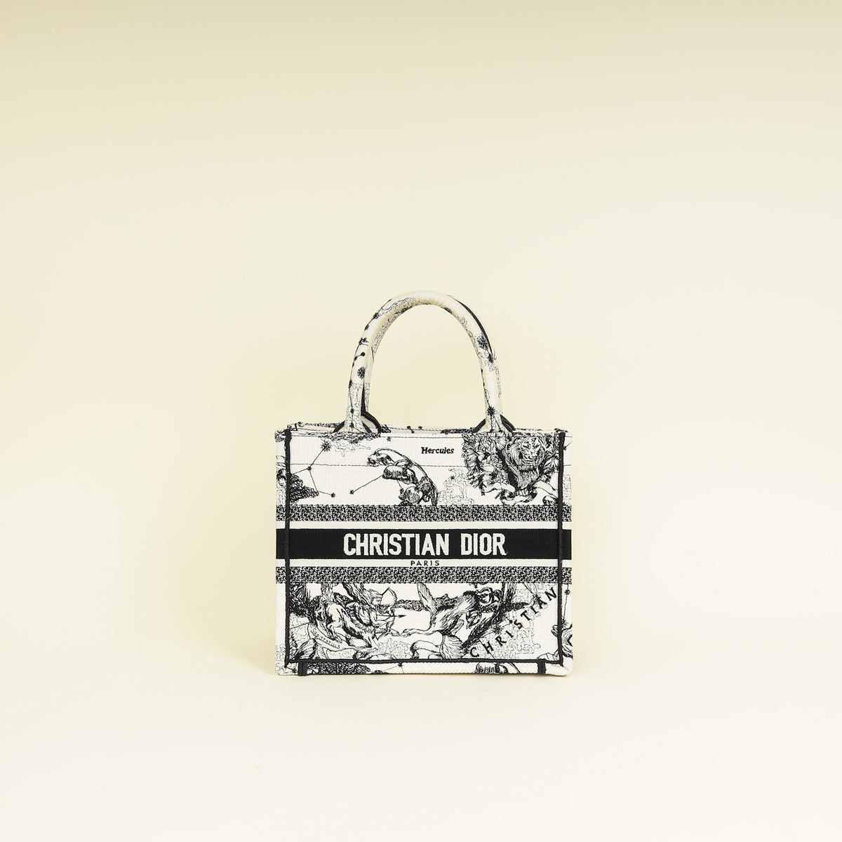 Dior Book Tote Tote - Rovelle Bags