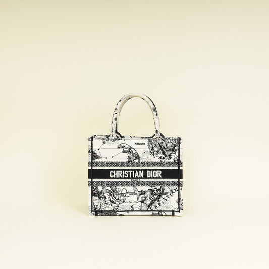 Dior Book Tote Tote - Rovelle Bags