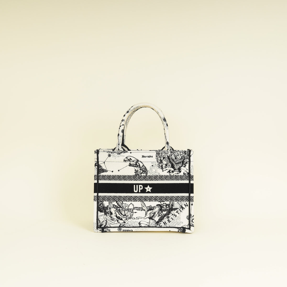 Dior Book Tote Tote - Rovelle Bags