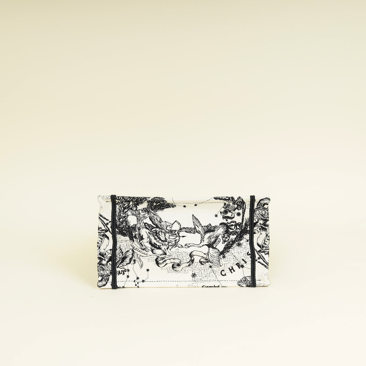 Dior Book Tote Tote - Rovelle Bags