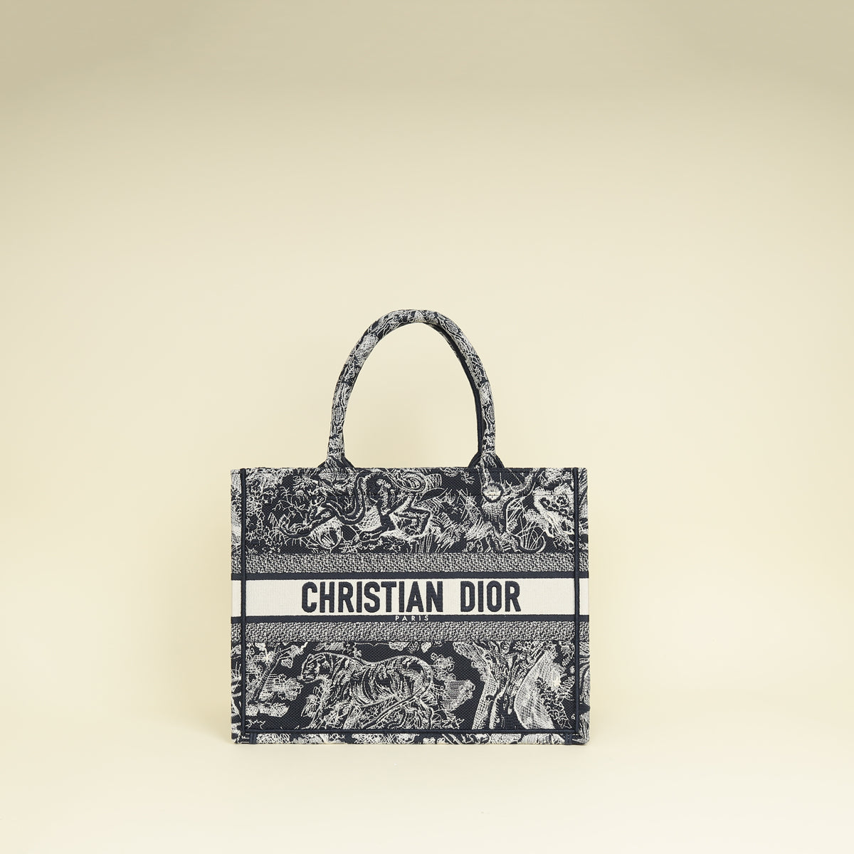 Dior Book Tote Tote - Rovelle Bags