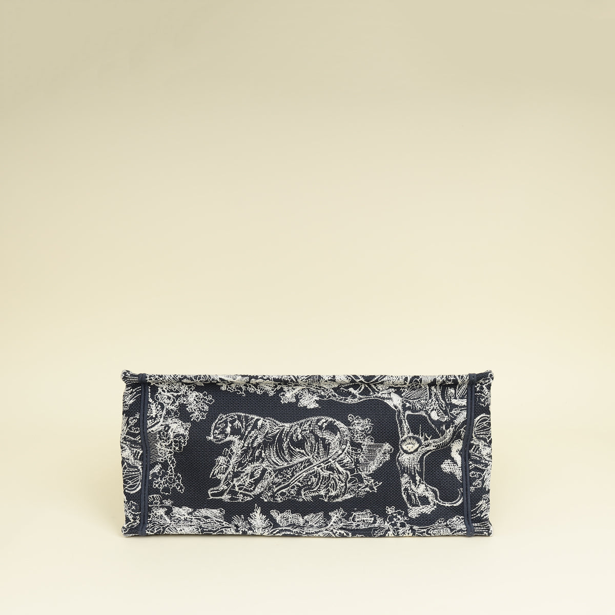 Dior Book Tote Tote - Rovelle Bags