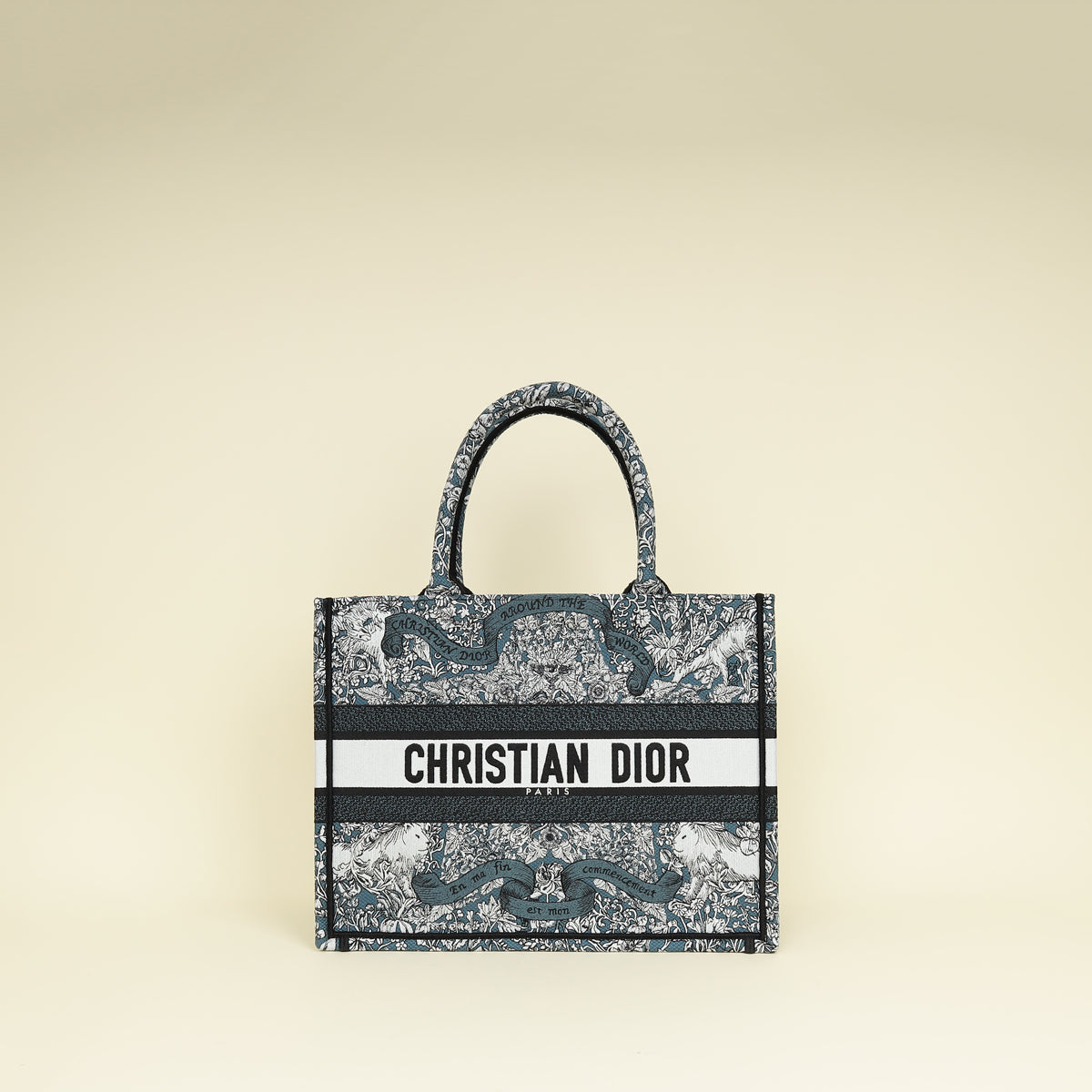 Dior Book Tote Tote - Rovelle Bags