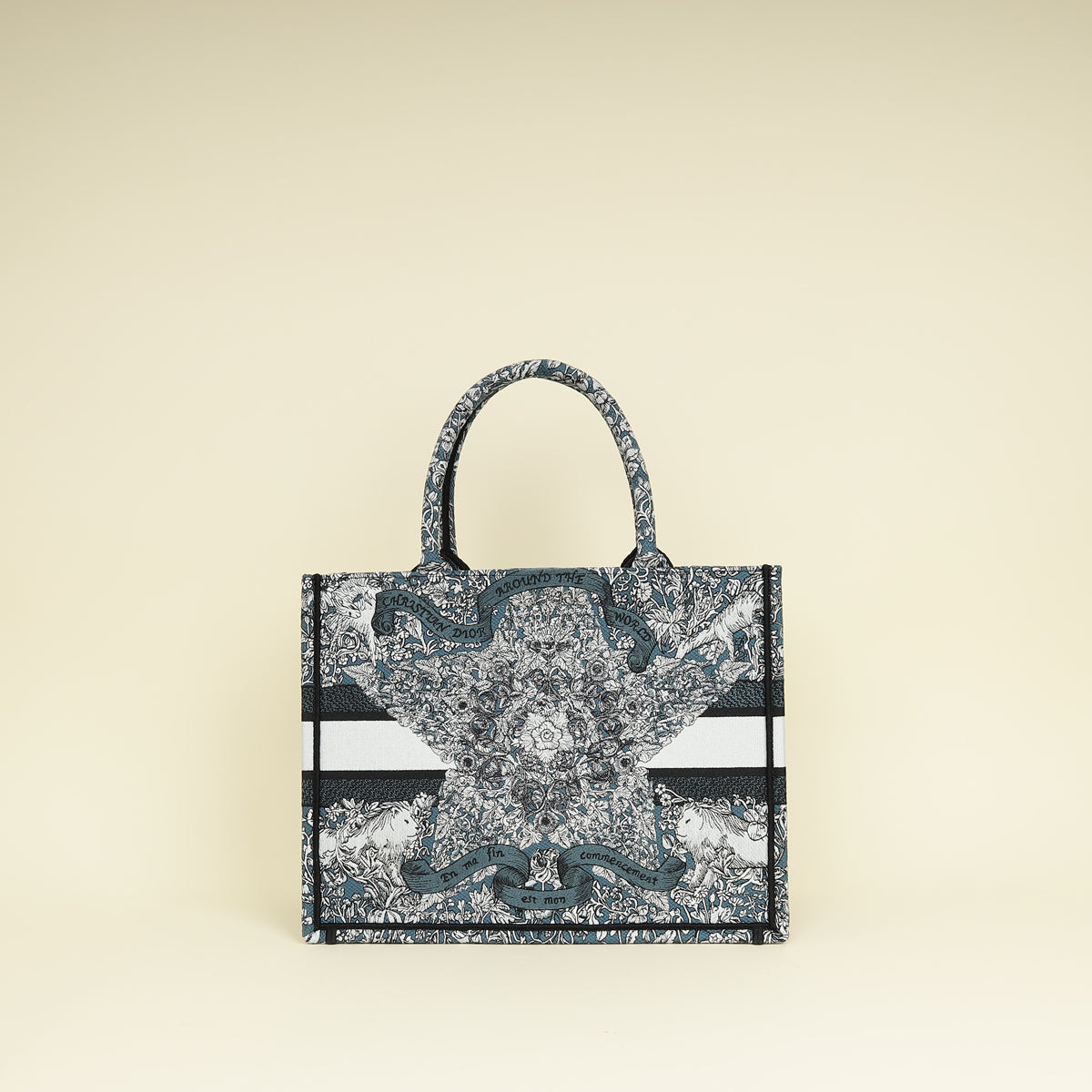 Dior Book Tote Tote - Rovelle Bags