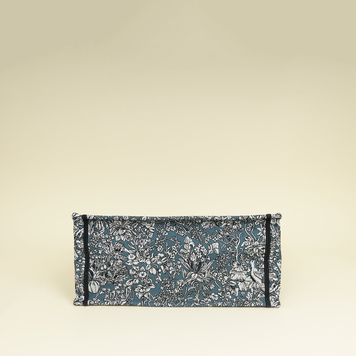 Dior Book Tote Tote - Rovelle Bags