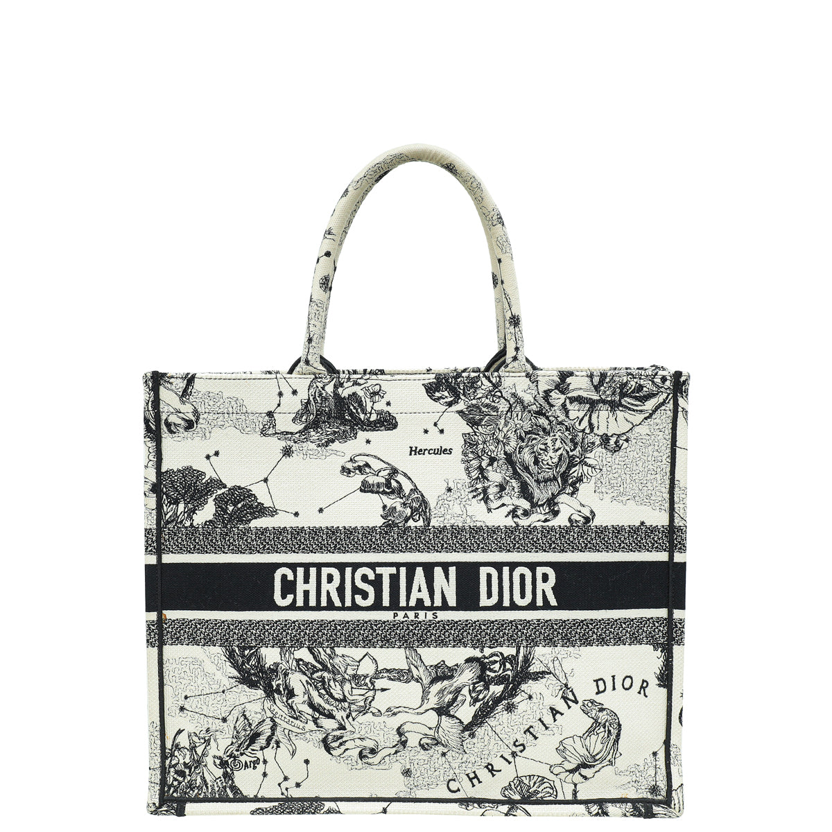 Dior Book Tote Tote - Rovelle Bags
