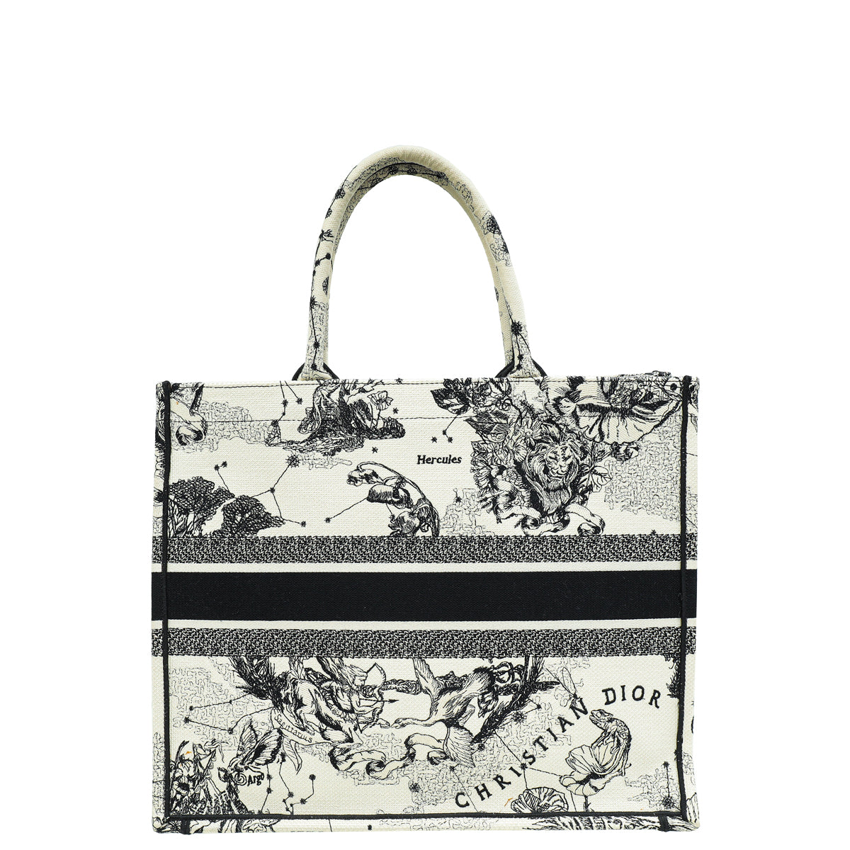 Dior Book Tote Tote - Rovelle Bags