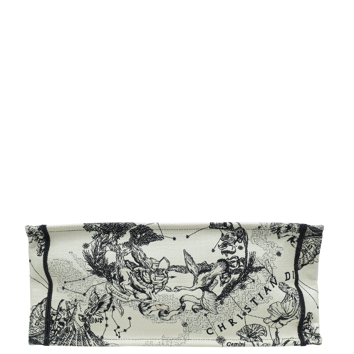 Dior Book Tote Tote - Rovelle Bags