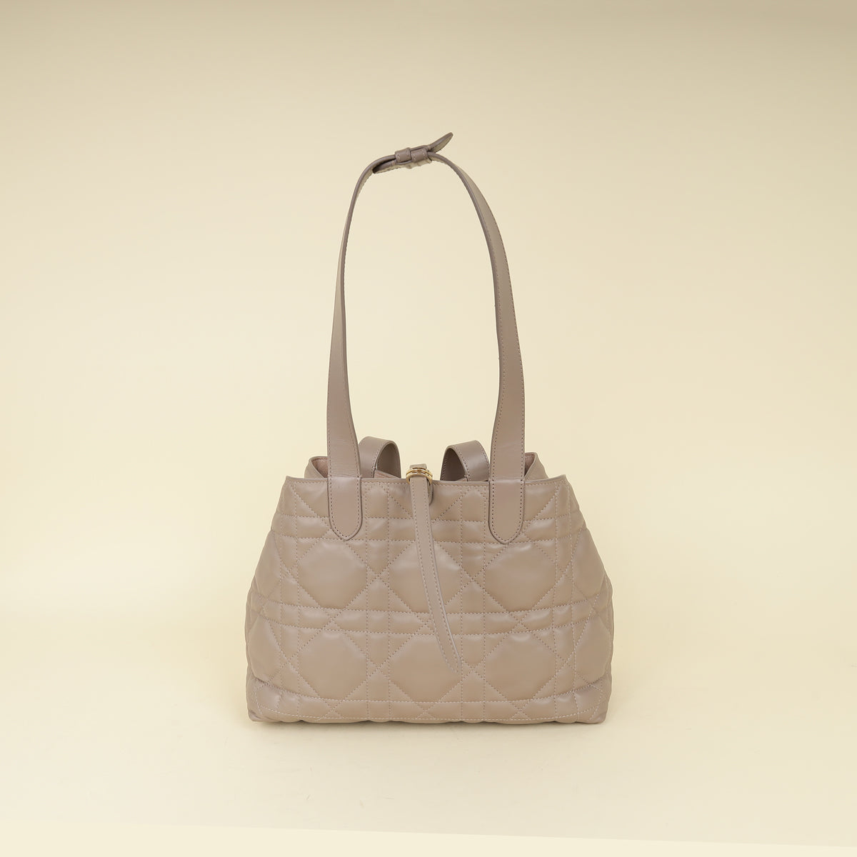 Dior Dior Toujours Handbag - Rovelle Bags