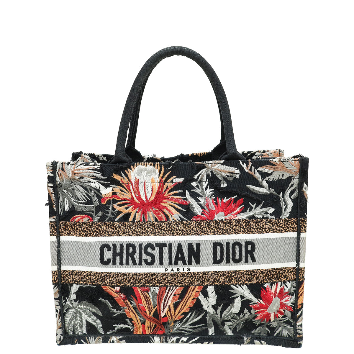 Dior Book Tote Tote - Rovelle Bags