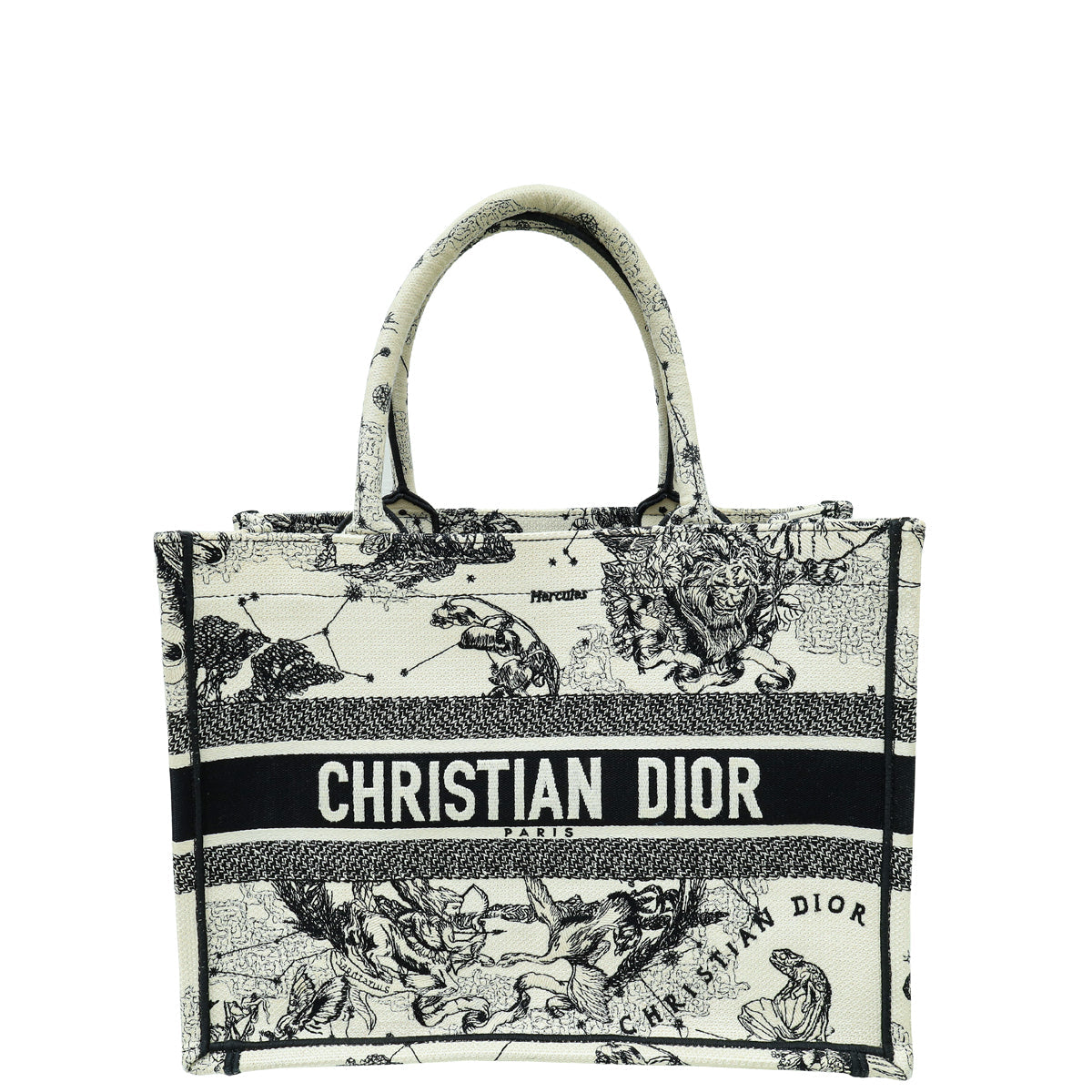 Dior Book Tote Tote - Rovelle Bags
