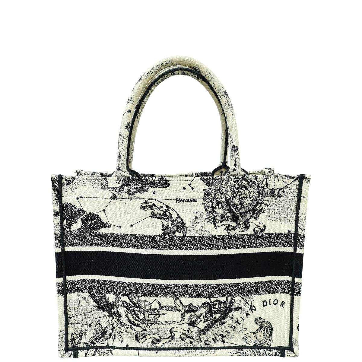 Dior Book Tote Tote - Rovelle Bags